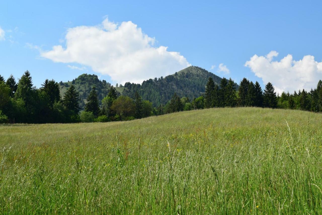 Green House Mountain Lake Iseo Hospitality Apartment Bossico ภายนอก รูปภาพ